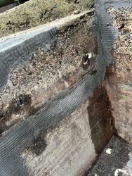 4_Bauwerkssanierung_ERGELIT_Beschichtung